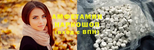 скорость Ельня
