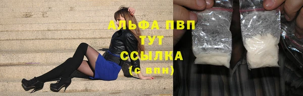 скорость Ельня