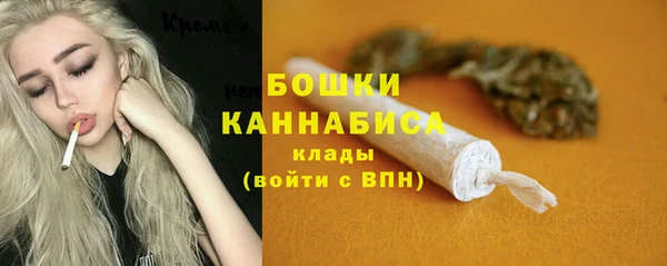 скорость Ельня