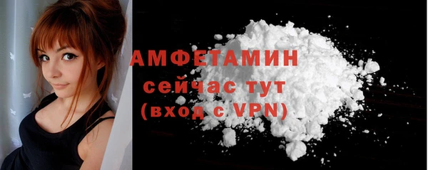 скорость Ельня
