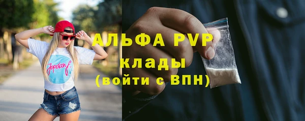 спиды Елизово