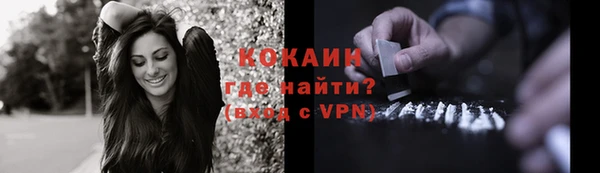 скорость Ельня