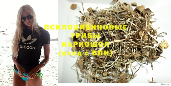 хмурый Елабуга