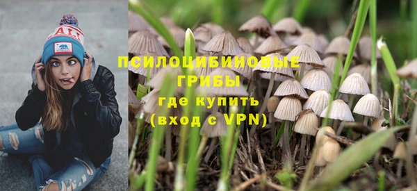спиды Елизово