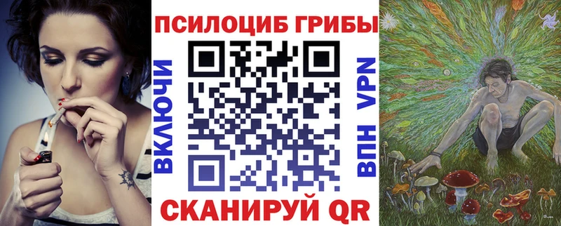 Галлюциногенные грибы Psilocybe  Купить  Нея 